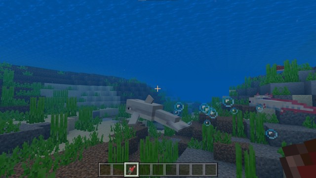 finding a dolphin to feed in minecraft