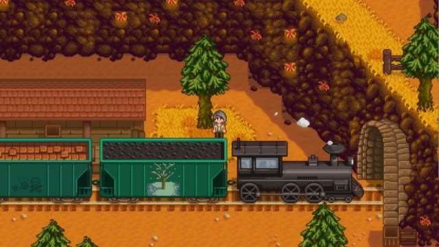 Stardew Valley what are Trains for